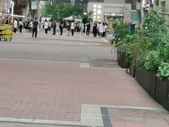 -迦南的早晨蛋糕甜品集合店