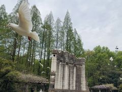 -音乐台