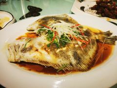 -福来齐·鲁菜海鲜·渔家菜(朝阳街分店)