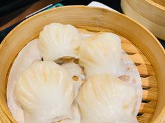 -高第街56号餐厅(凯德mall新都心店)