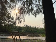 -同里国家湿地公园