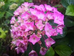 -洋湖国家湿地公园