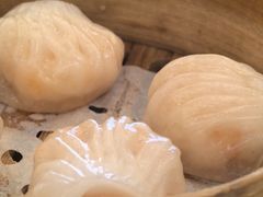 -广州白天鹅宾馆