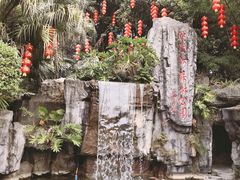 -广州市流溪河国家森林公园