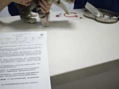 -全心全意动物诊疗中心医院(北苑店)