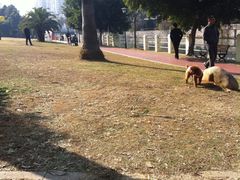 iphone_upload_pic-雁荡山雁湖景区