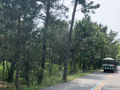 -日照海滨国家森林公园