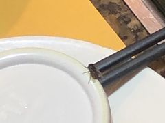 -黄记煌三汁焖锅(华发商都店)