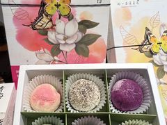 -好一朵茉莉花(老门东店)