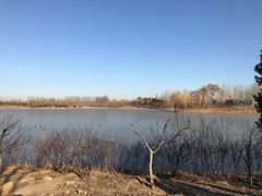 -东郊湿地公园