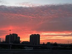 -老吴家烧烤(朝阳街店)
