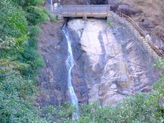 -广州白江湖森林公园