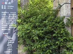 -无染寺