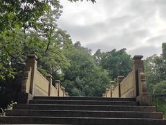 -晓港公园