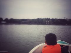 -昆山城市生态森林公园