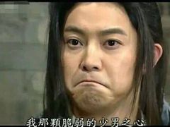 -邢大夫动物医院