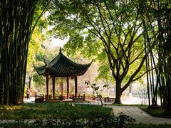 -望江楼公园