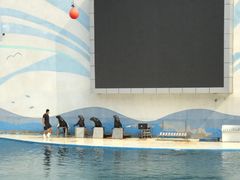 -北戴河圣蓝海洋公园