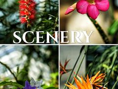 -国家植物园南园