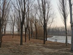 -东郊湿地公园