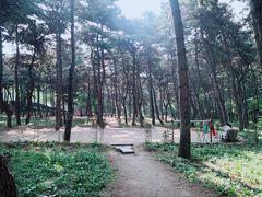 -长春市南湖公园