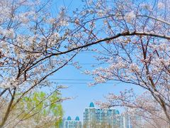 -西北湖绿化广场