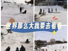 -莫子山公园