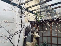 -边渡咖啡烘焙店(昙华林店)
