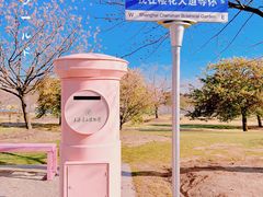 -上海辰山植物园