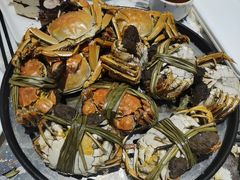 -半岛听涛蒸汽海鲜自助(K11店)