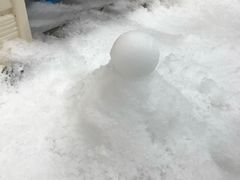 -Mr·Kuma酷么先生雪之乐园