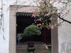 -木渎古镇