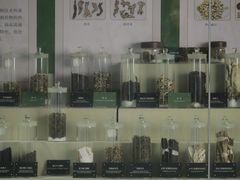 -广东中医药博物馆