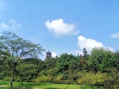 -宜兴龙背山森林公园