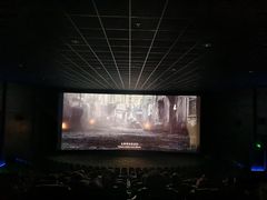 -SFC上影影城(新世界店)