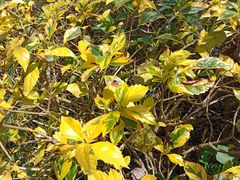 -南宁花花大世界景区