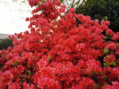 -杭州六谷生态休闲农庄有限公司