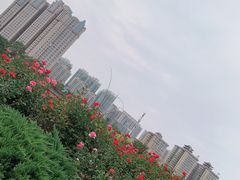 -咸阳湖景区