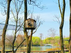 -昆山城市生态森林公园