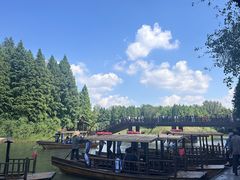 -溱湖国家湿地公园