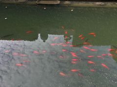 -宁波市保国寺古建筑博物馆