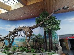 -延庆地质公园博物馆