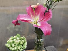 -萤火虫咖啡(砖著店)