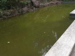 -榴花公园