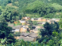 -杨家堂村
