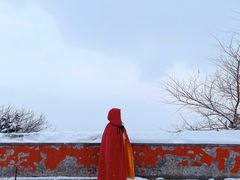 -阳台山自然风景区