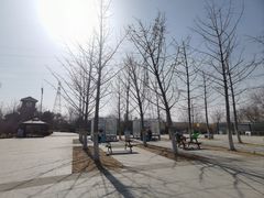 -永定河休闲森林公园