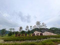 -水濂山森林公园