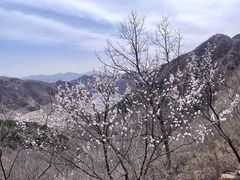 -京东石林峡风景区