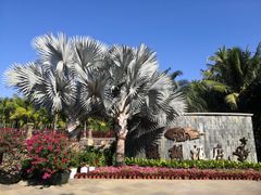 -蜈支洲岛珊瑚酒店临海阁中餐厅